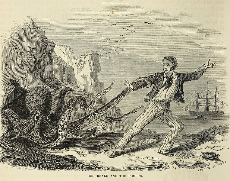 763px-Mr._Beale_and_the_poulpe