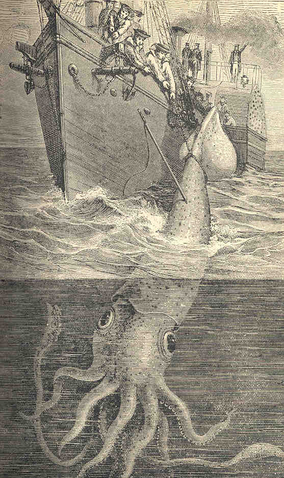 FMIB_34816_Gigantic_Cuttle-Fish